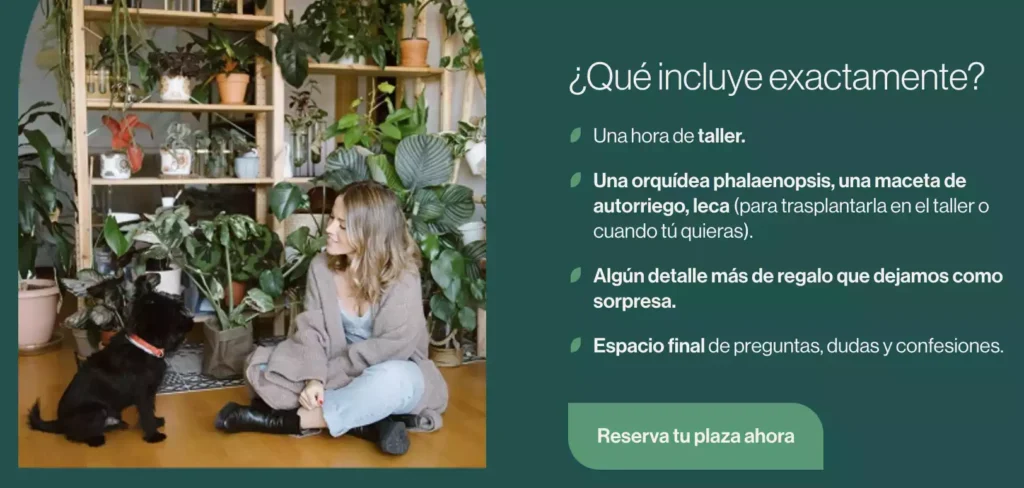 que incluye exactamente orquideas