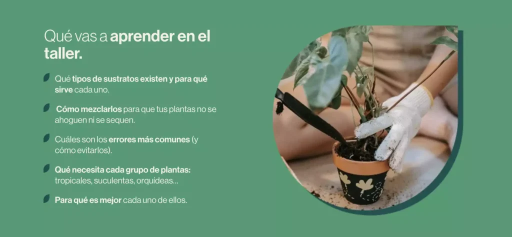 Captura de pantalla 2025 10 29 a las 15.22.33