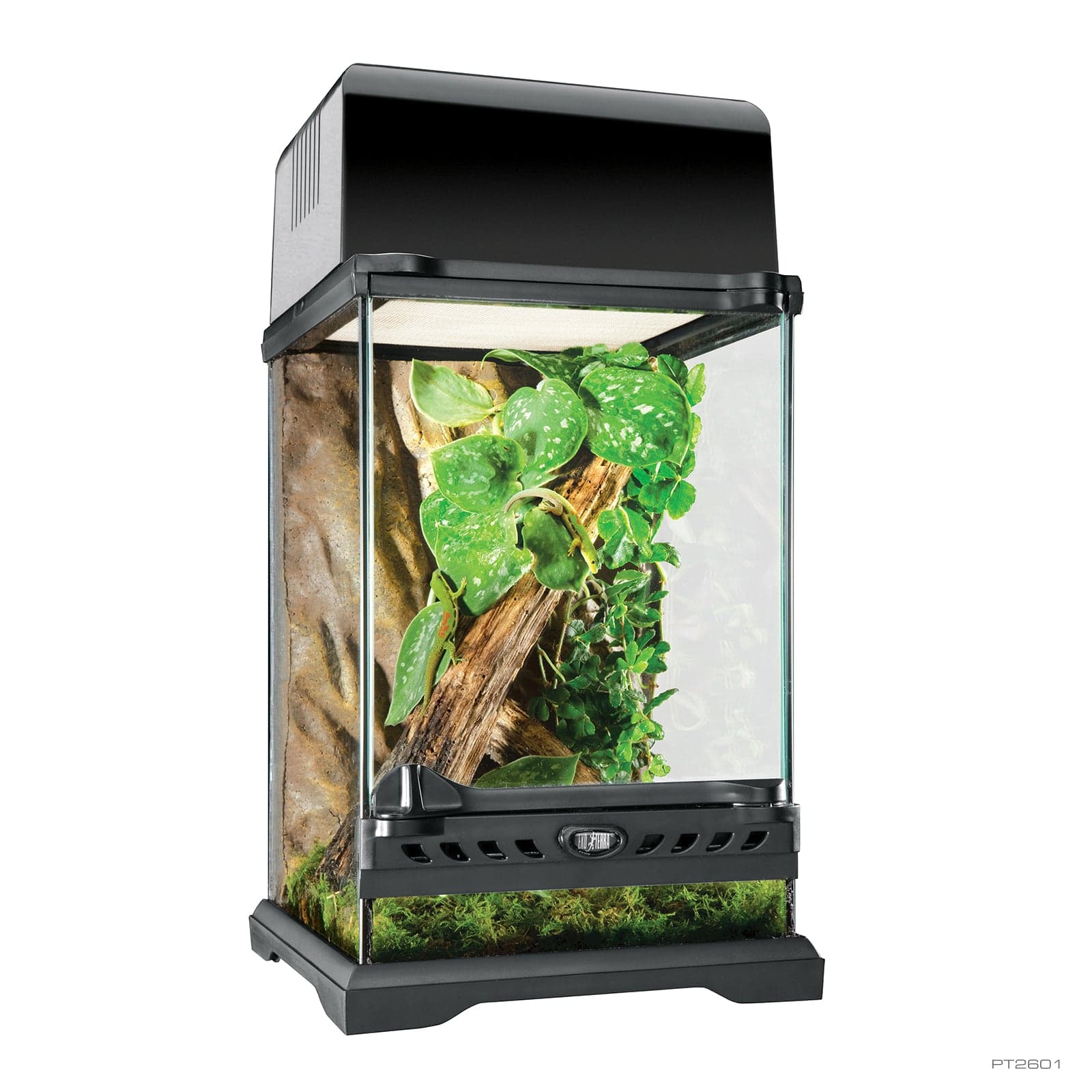 Terrario de cristal Exo Terra Nano — Tall