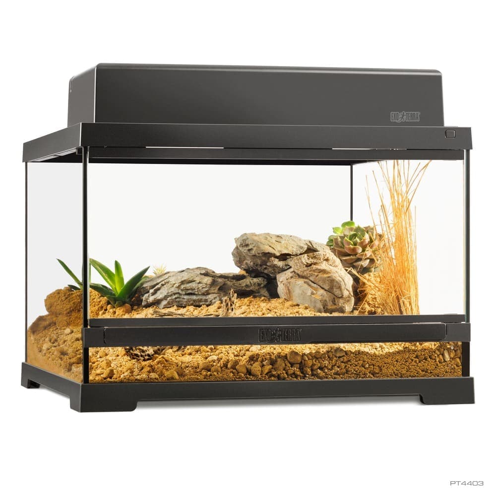 Pro Terrarium de Cristal Exo Terra Pequeño 45x45cm — 45x45x30cm