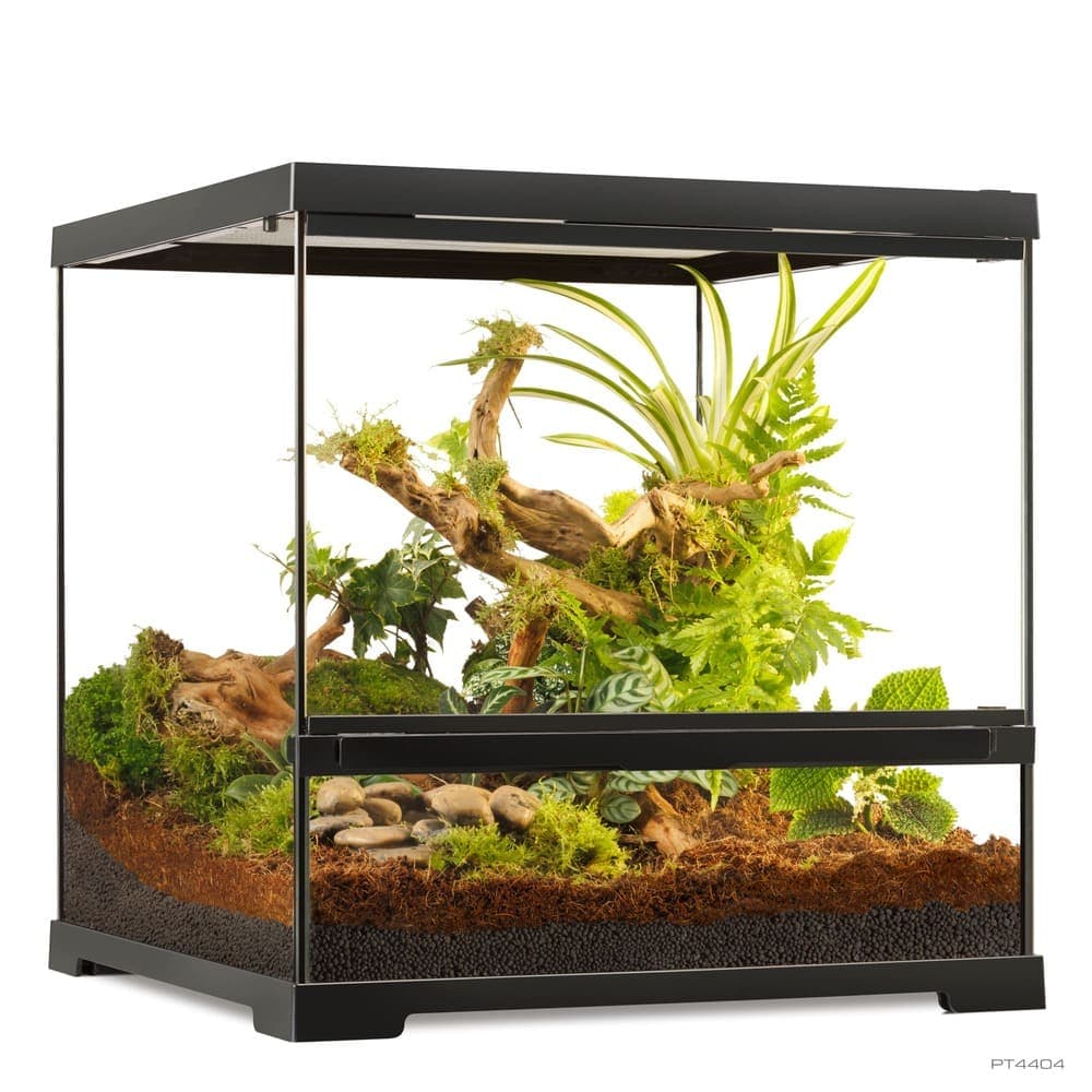 Pro Terrarium de Cristal Exo Terra Pequeño 45x45cm — 45x45x45cm