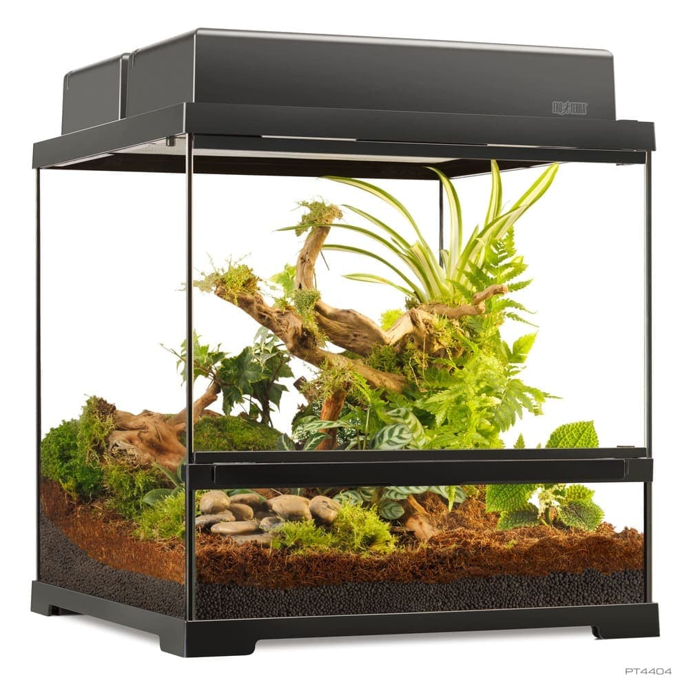 Pro Terrarium de Cristal Exo Terra Pequeño 45x45cm — 45x45x45cm