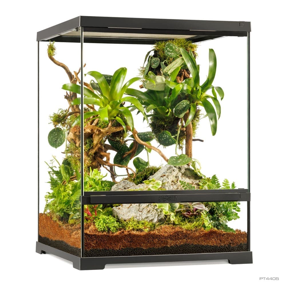 Pro Terrarium de Cristal Exo Terra Pequeño 45x45cm — 45x45x60cm