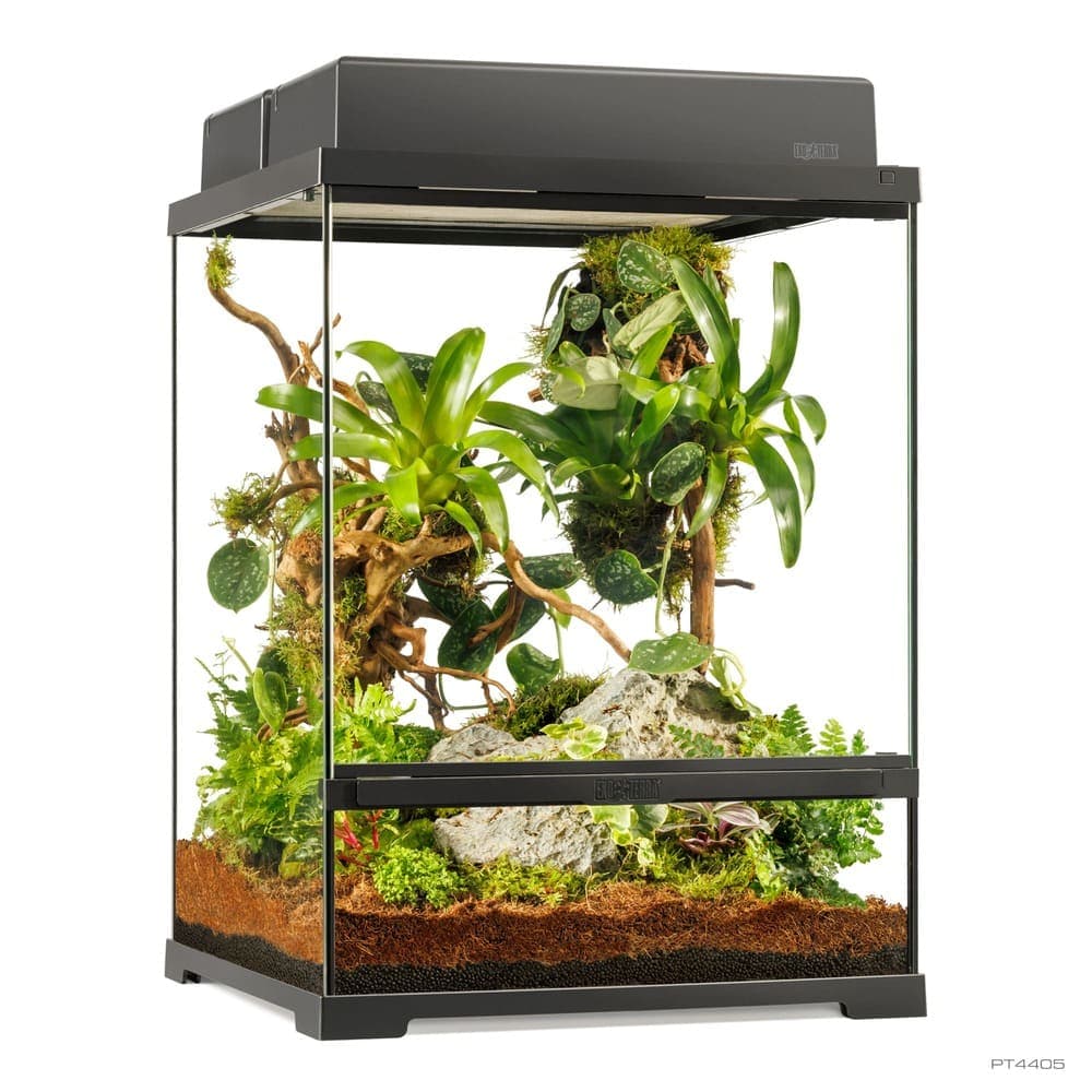 Pro Terrarium de Cristal Exo Terra Pequeño 45x45cm — 45x45x60cm
