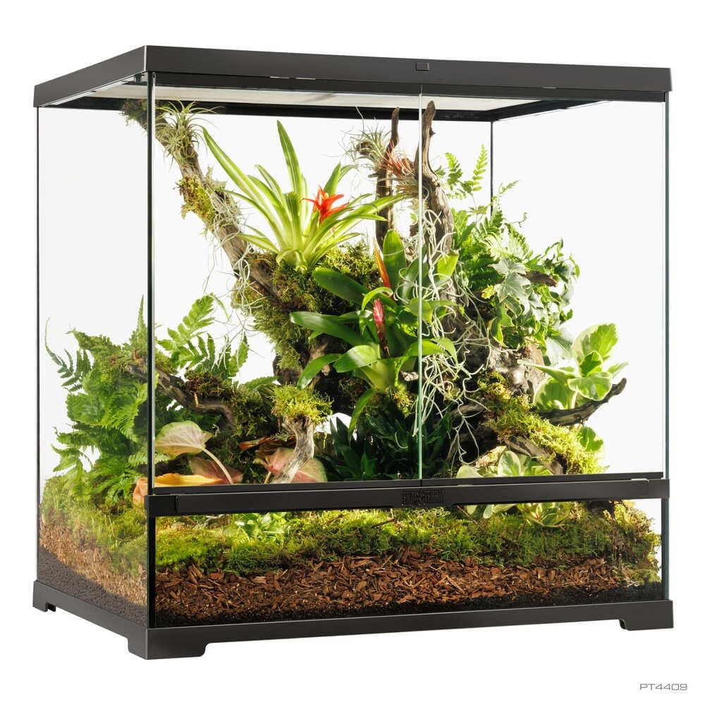 Pro Terrarium de Cristal Exo Terra Mediano 60x45cm — 60x45x60cm