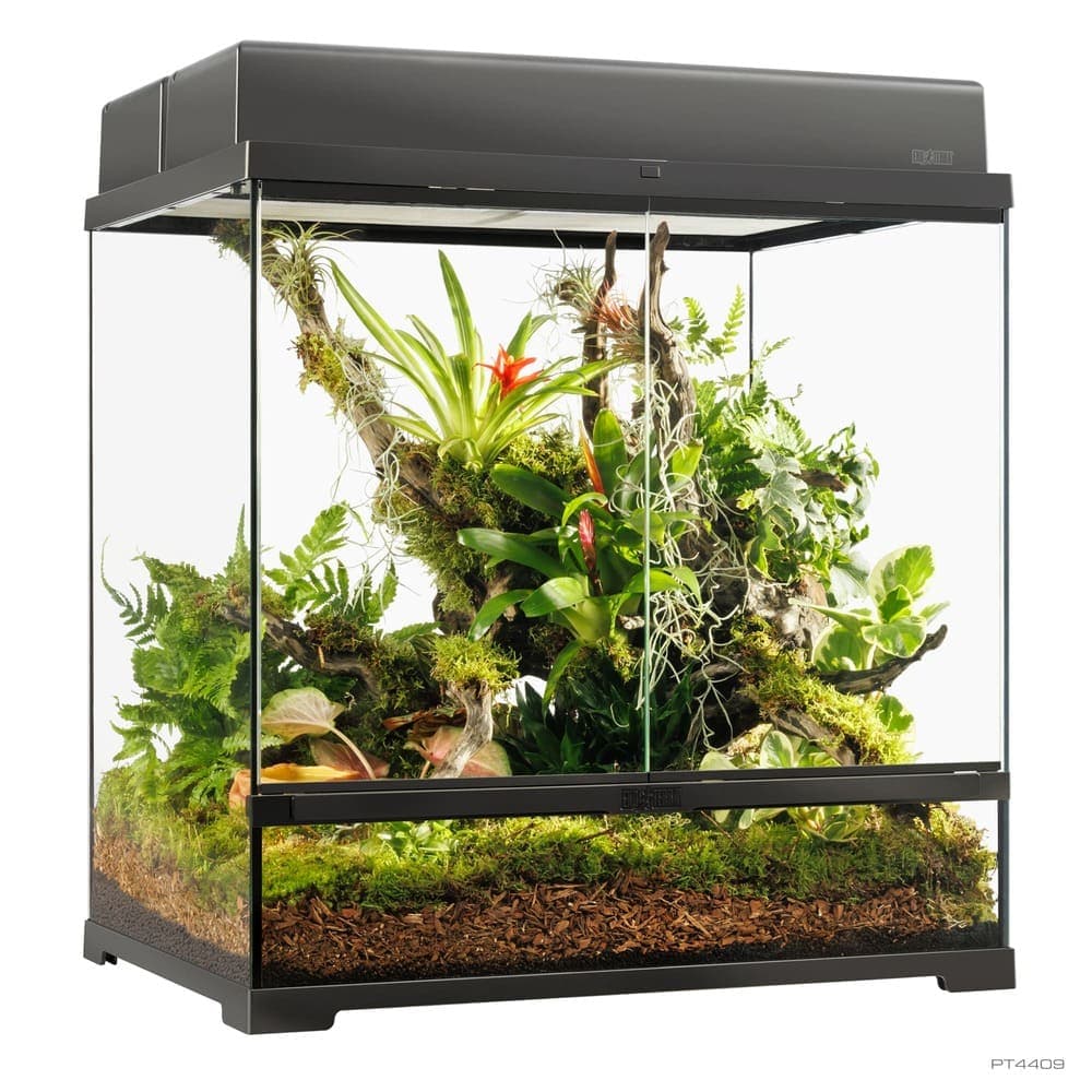 Pro Terrarium de Cristal Exo Terra Mediano 60x45cm — 60x45x60cm