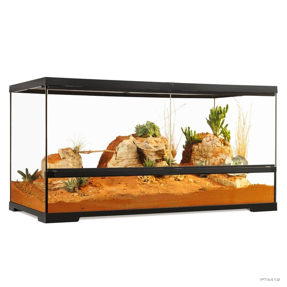 Pro Terrarium de Cristal Exo Terra Grande 90x45cm — 90x45x45cm
