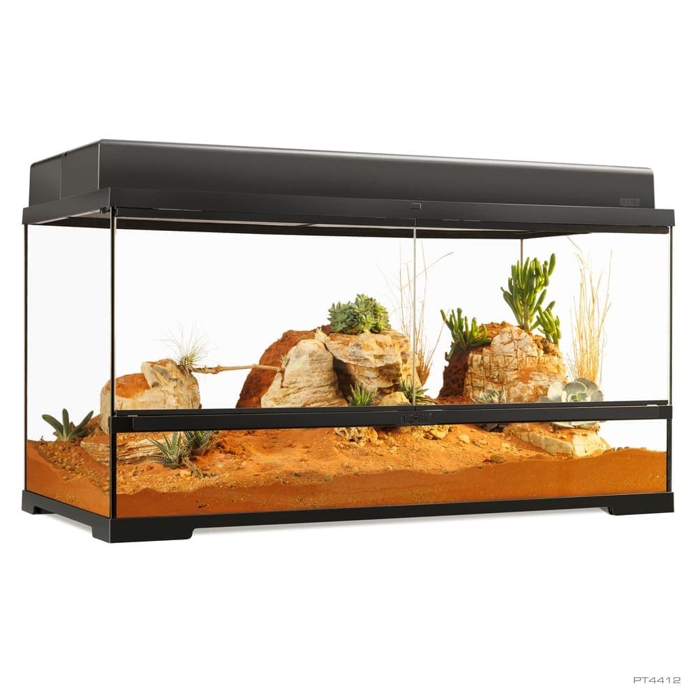 Pro Terrarium de Cristal Exo Terra Grande 90x45cm — 90x45x45cm