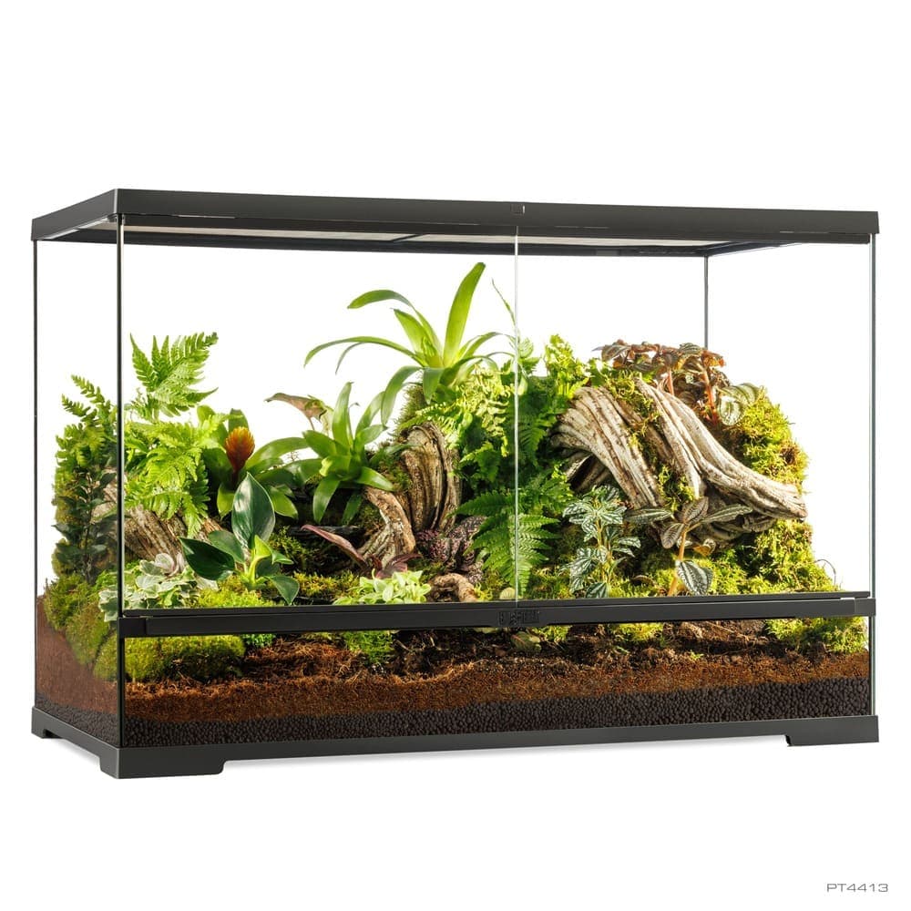 Pro Terrarium de Cristal Exo Terra Grande 90x45cm — 90x45x60cm