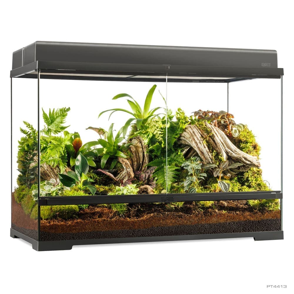 Pro Terrarium de Cristal Exo Terra Grande 90x45cm — 90x45x60cm
