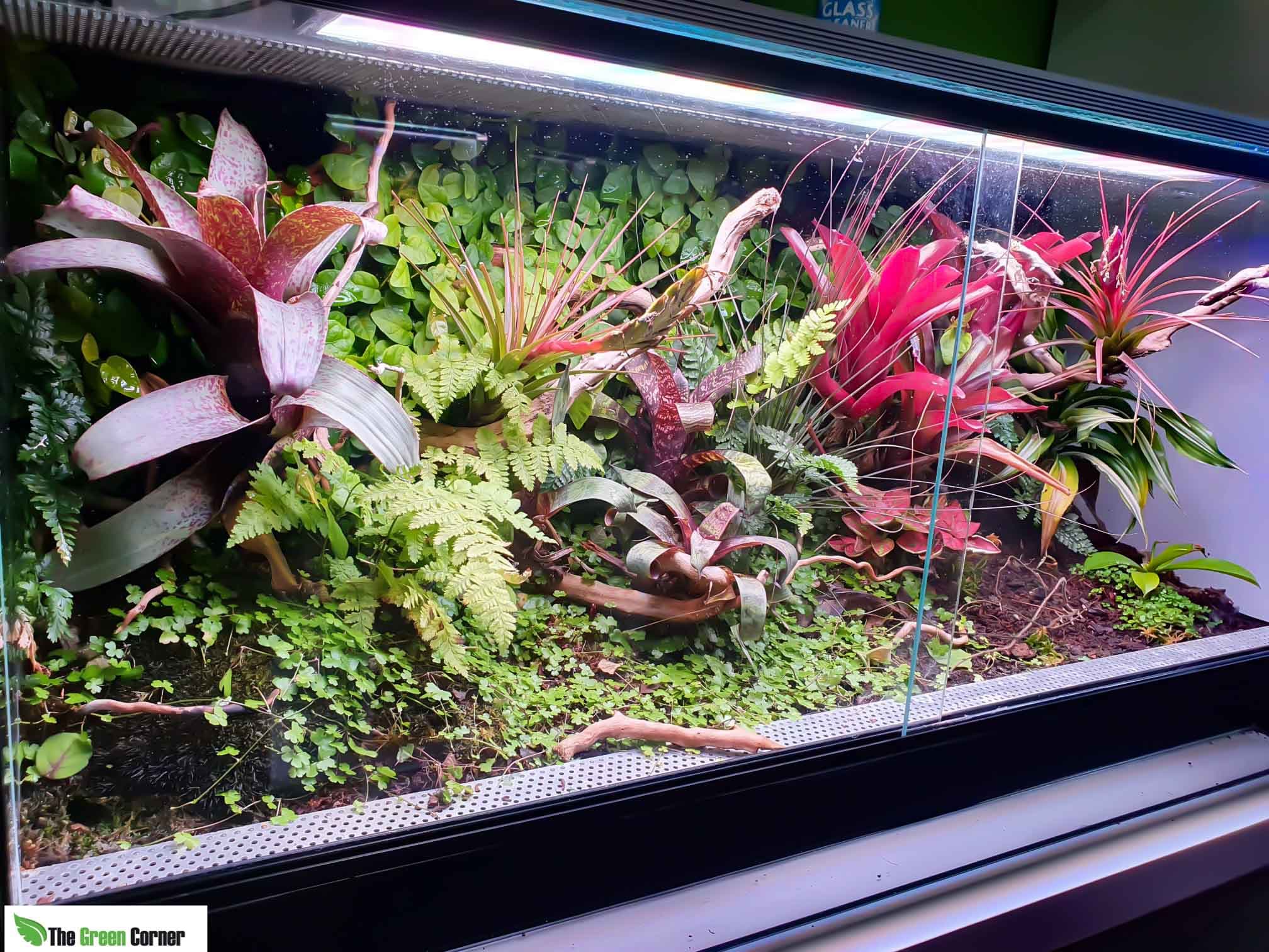 ideal para ecosistemas exigentes