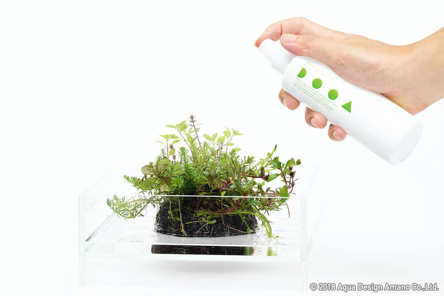 DOOA WABI KUSA MIST - 200ML: Abono para plantas emergidas 4