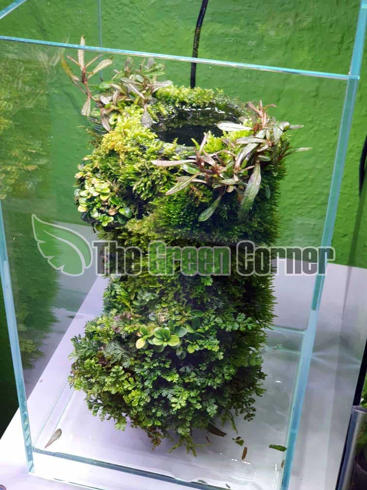 DOOA WABI KUSA MIST - 200ML: Abono para plantas emergidas 2