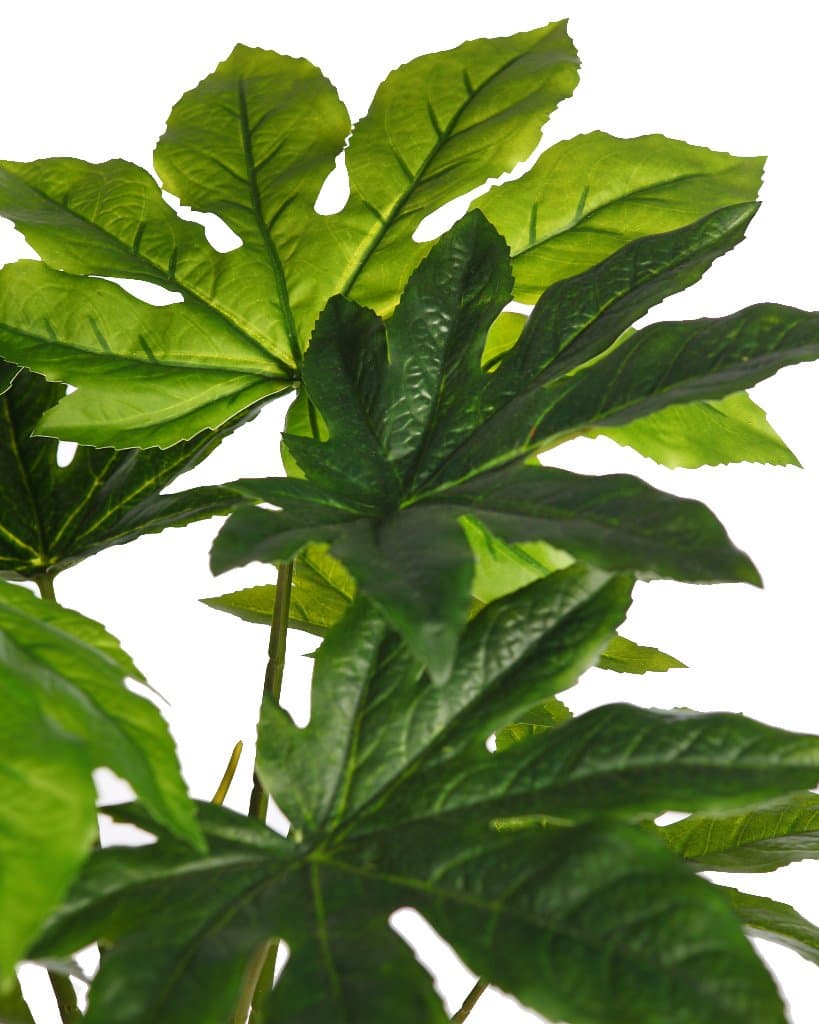 Planta Aralia Artificial 67cm 2