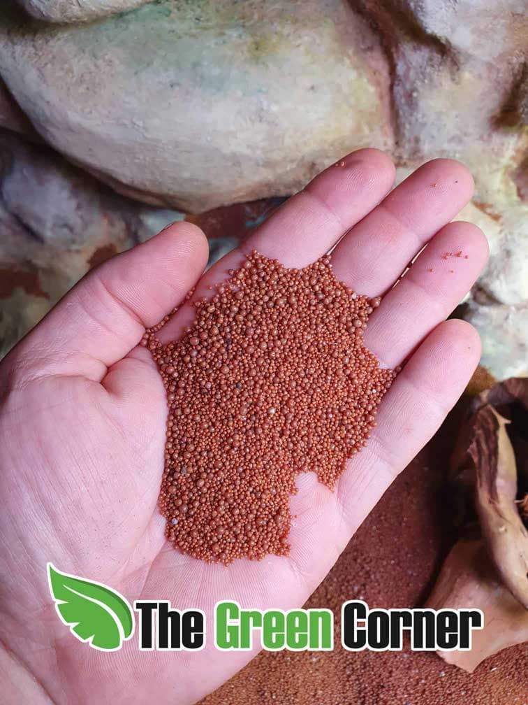 sustrato color marron en forma de bolitas cálcicas para la prevención de impactaciones.