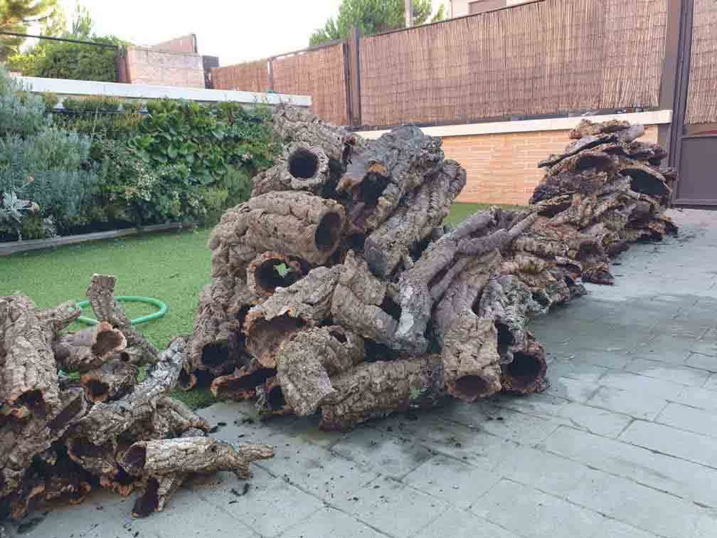 montaje de plantas epifitas y otras decoraciones naturales.