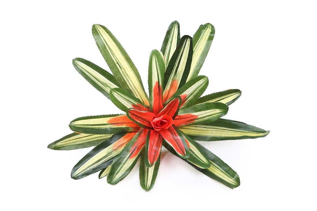 Planta artificial bromelia de alta calidad