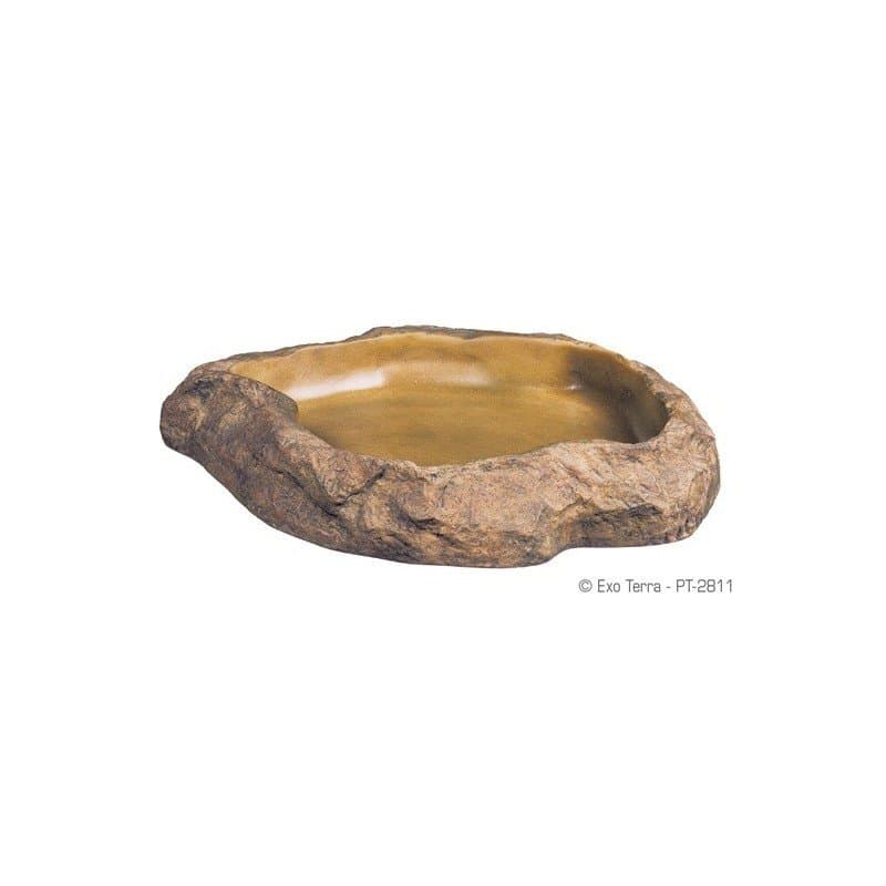 Comederos y bebederos para reptiles