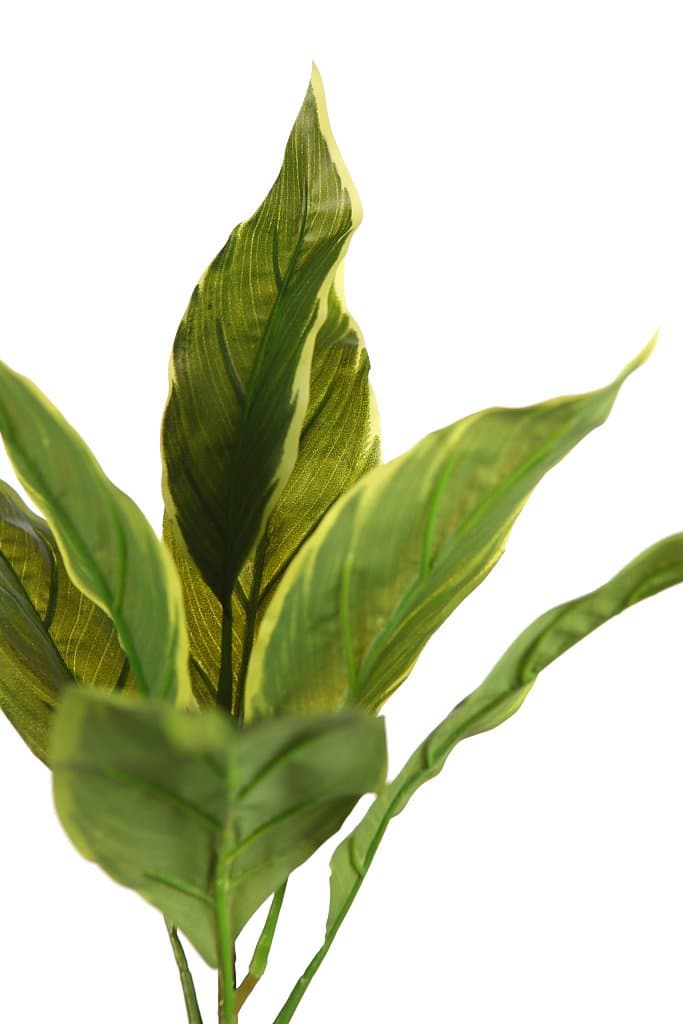 Planta Hosta artificial 34 2