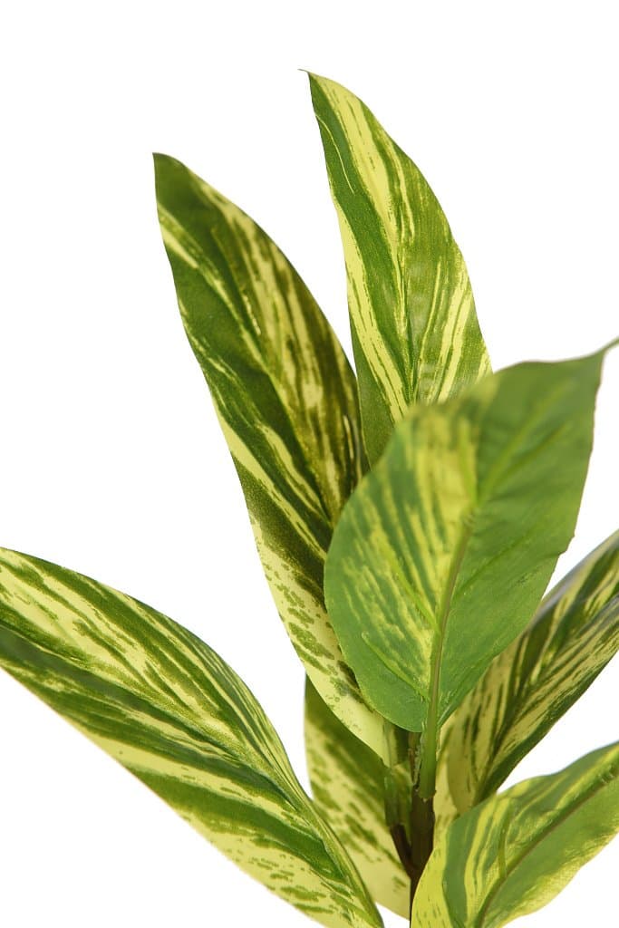Planta Tradescantia Artificial 30 2