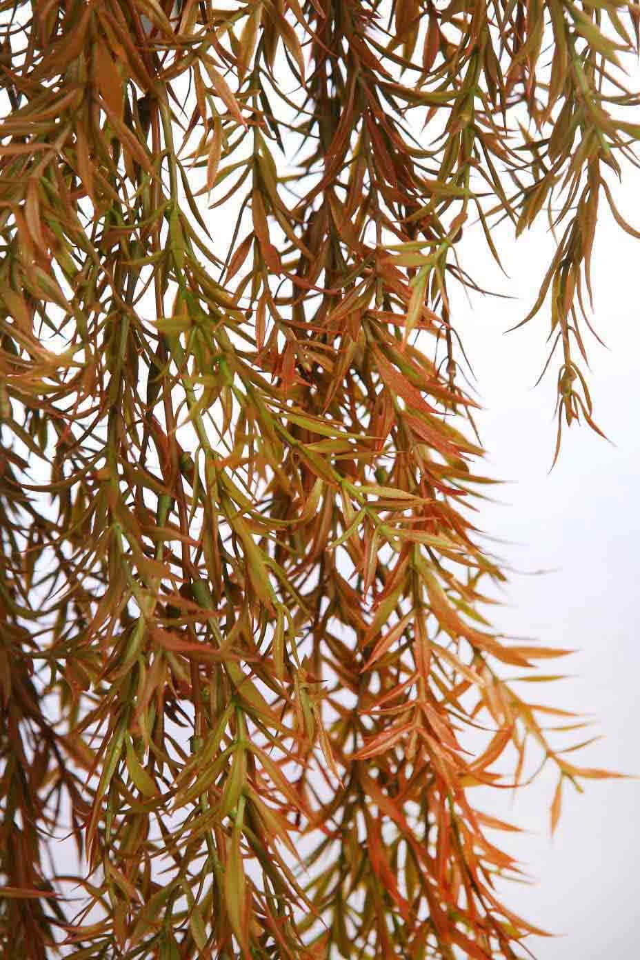Esparraguera Colgante Artificial 80cm (Marrón) 2