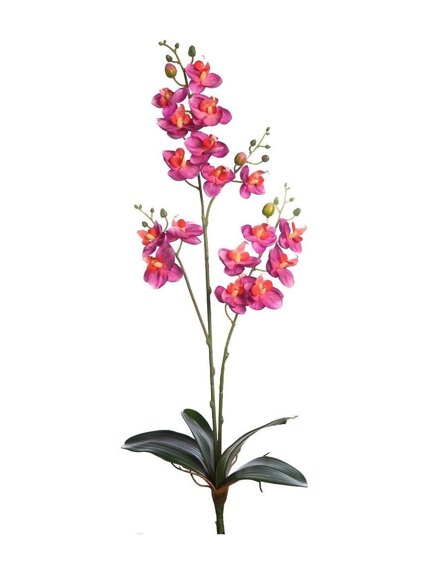 Haz la mejor selección de planta artificial con esta planta artificial de la variedad Aralia para la realización de composiciones.