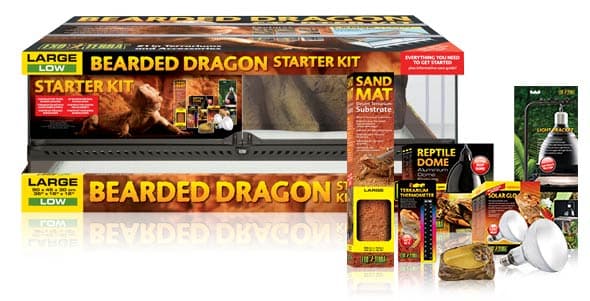 KIT DE INICIO TERRARIO EXO TERRA POGONA 3