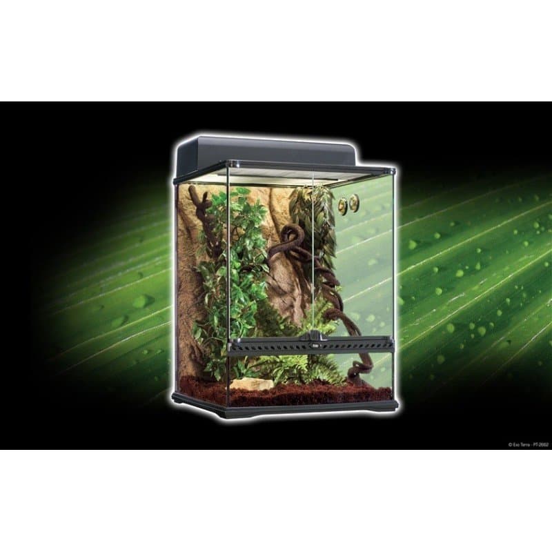 El Kit Habitat selva (terrario tropical Exo terra) es el comienzo ideal para herpetoculturistas principiantes! kit completo y super sencillo