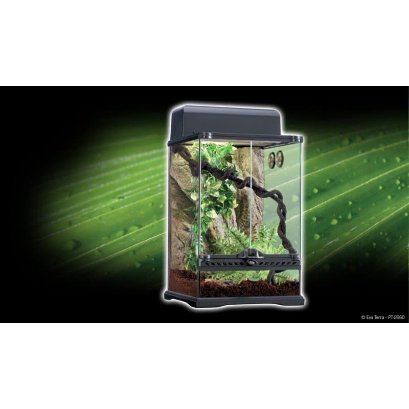 KIT TERRARIO TROPICAL EXO TERRA-Pequeño 30x30x45 cm