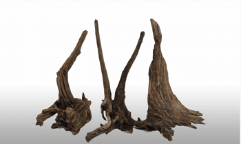 La madera Horn wood Destaca por la gran variedad de formas