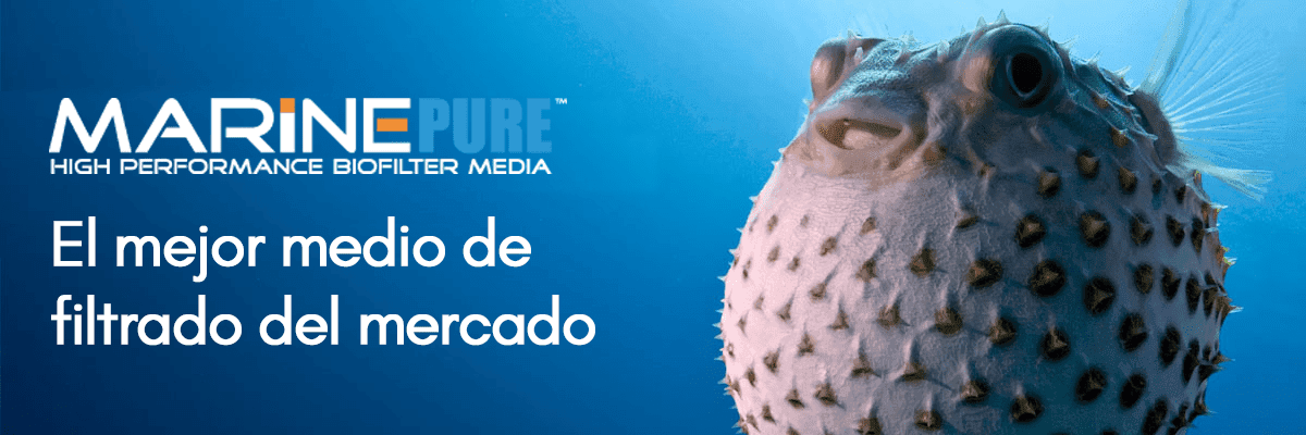 MarinePure Block 20x20x10 cm 3