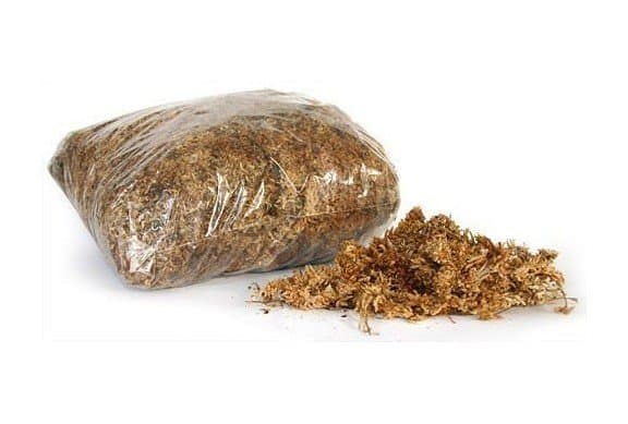 Musgo de fibra larga de altísima calidad para tus ecosistemas al mejor precio que puedes encontrar