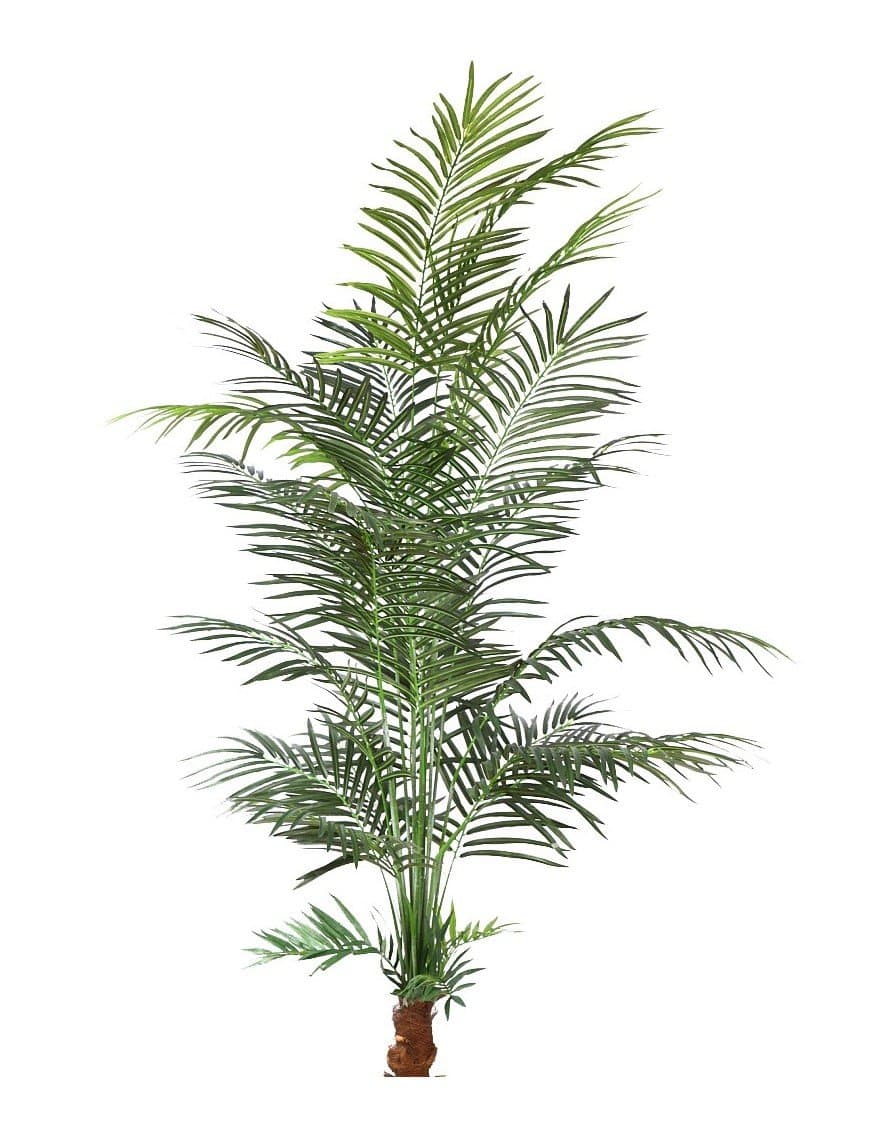En The Green Corner disponemos de esta palmera areca artificial de 145cm para composiciones en decoración tradicional y en jardín vertical.