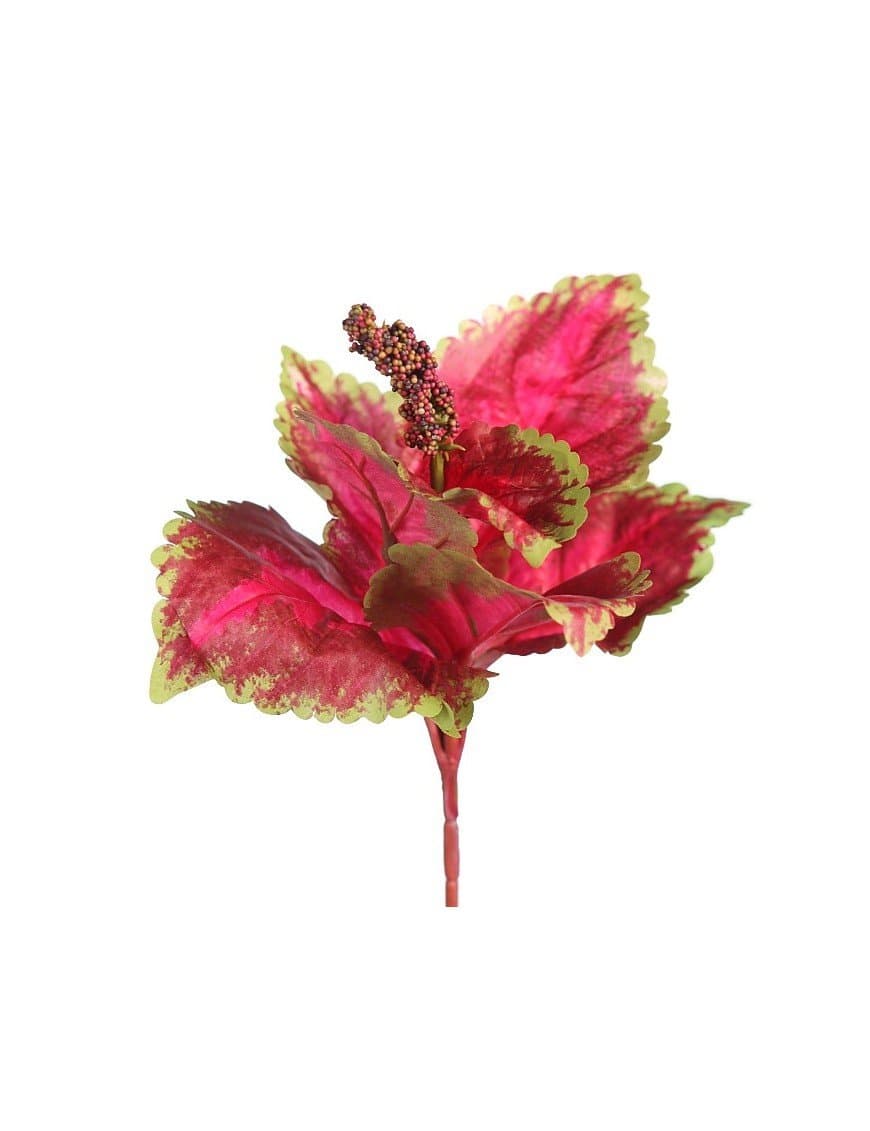 Consigue la mejor selección de planta artificial con este coleo artificial alt 23cm y consigue la decoración perfecta.
