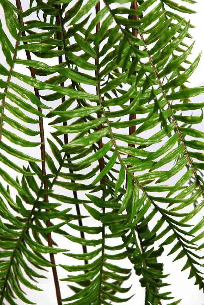 Trepadora Helechosa Artificial 115cm 4