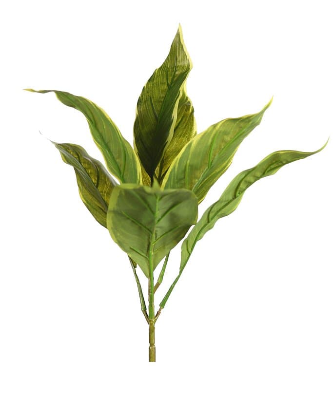 tenemos en stock las mejores plantas artificiales para realizar montajes naturales tanto tradicionales como en jardinería vertical