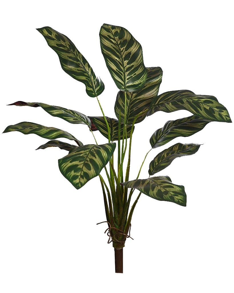 La mejor selección de planta artificial para realizar composiciones de gran calidad es esta planta peacock de 51cm