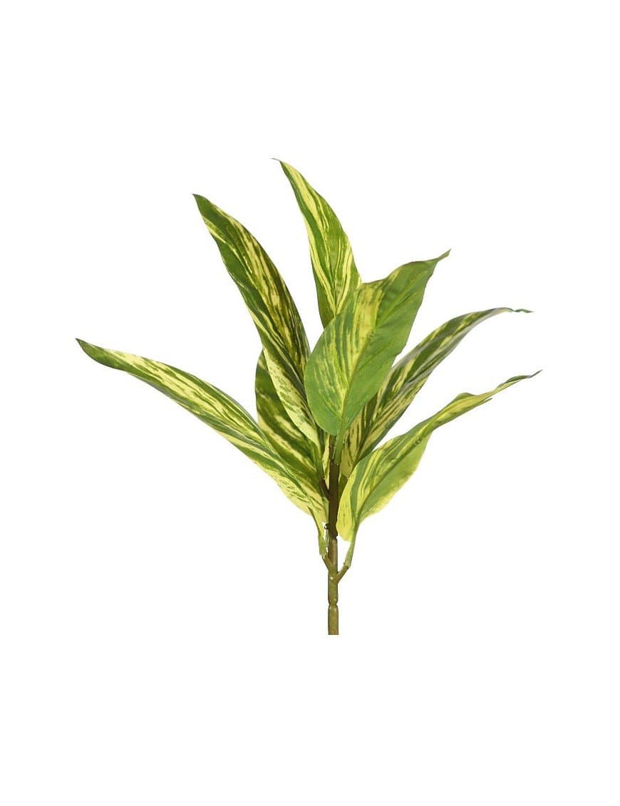La mejor selección de planta artificial es esta espléndida planta tradescantia