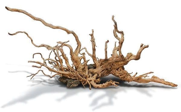 La madera decorativa Red Moor es una madera 100% natural de alta calidad y visualmente muy atractiva. Ideal para montajes acuáticos y palustres