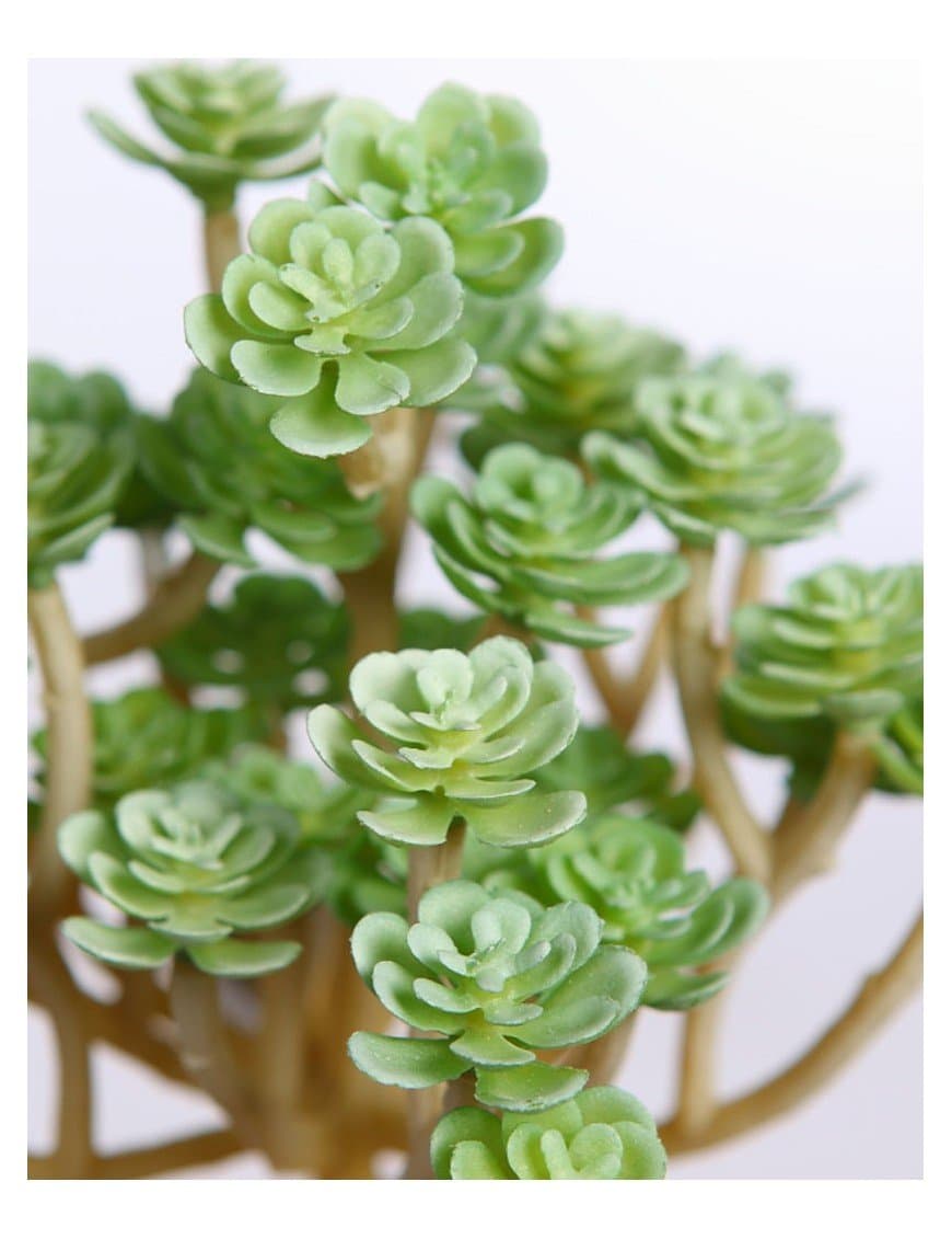 Suculenta Echevería Artificial 13cm (Marrón) 4