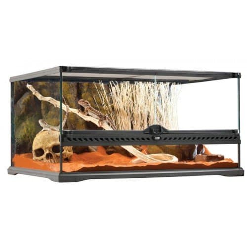 TERRARIOS EXO TERRA DE CRISTAL Med. Low 60X45X30cm