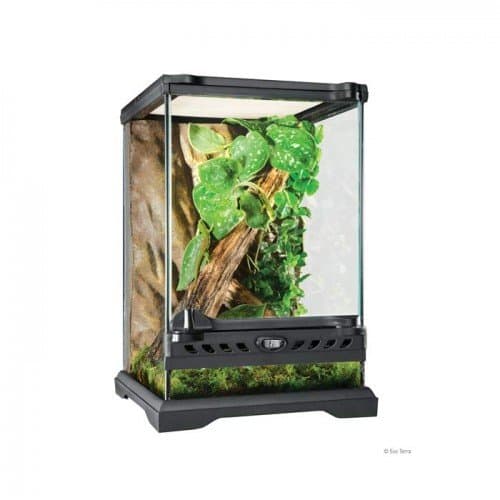 TERRARIOS EXO TERRA DE CRISTAL Nano Tall 20x20x30cm