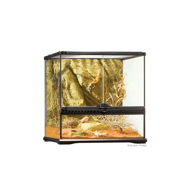 TERRARIOS EXO TERRA DE CRISTAL Peq. Wide 45X45X45cm