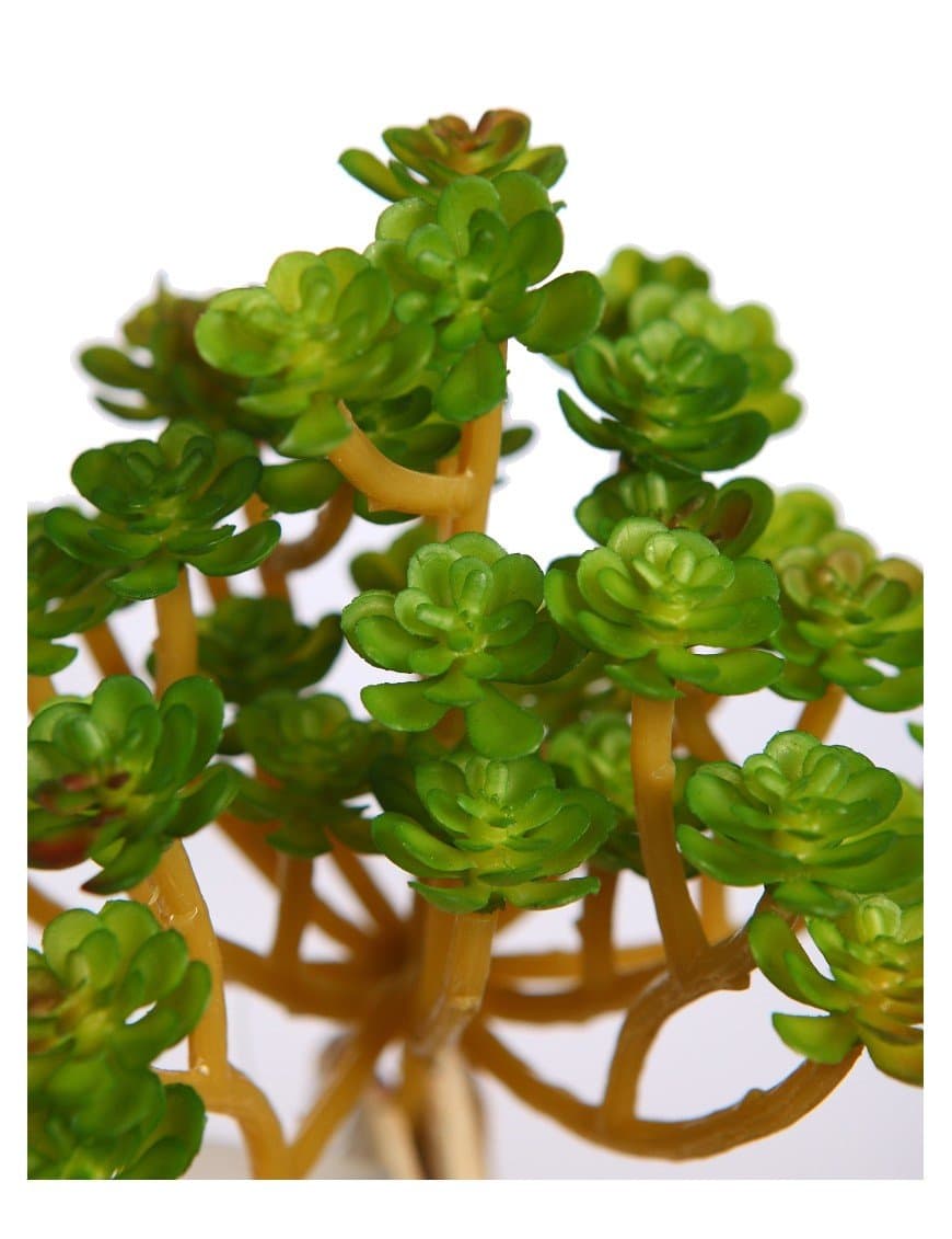 Suculenta Echevería Artificial 13cm (Verde oscuro) 3