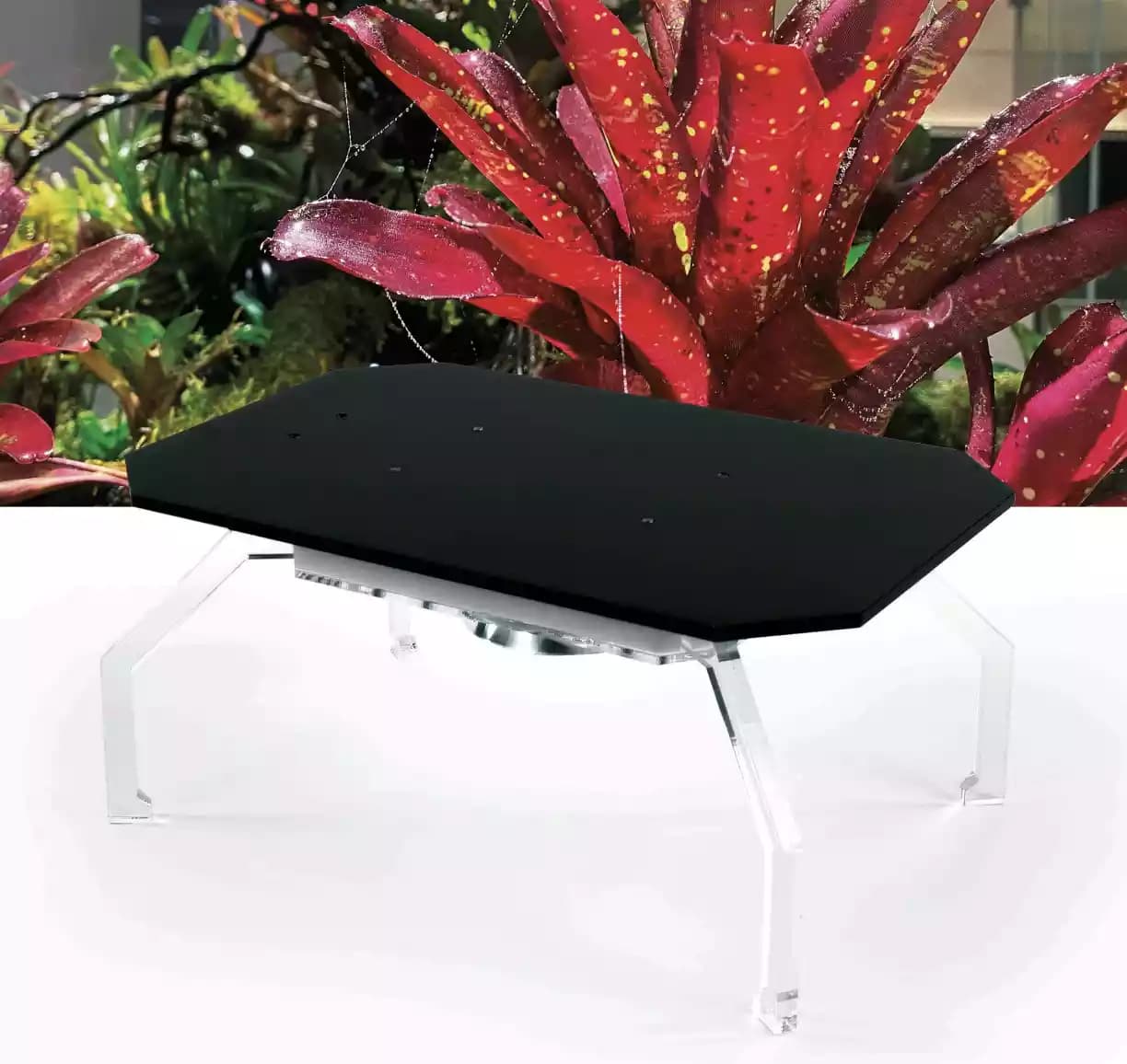 SKYLIGHT MID SPOT V55