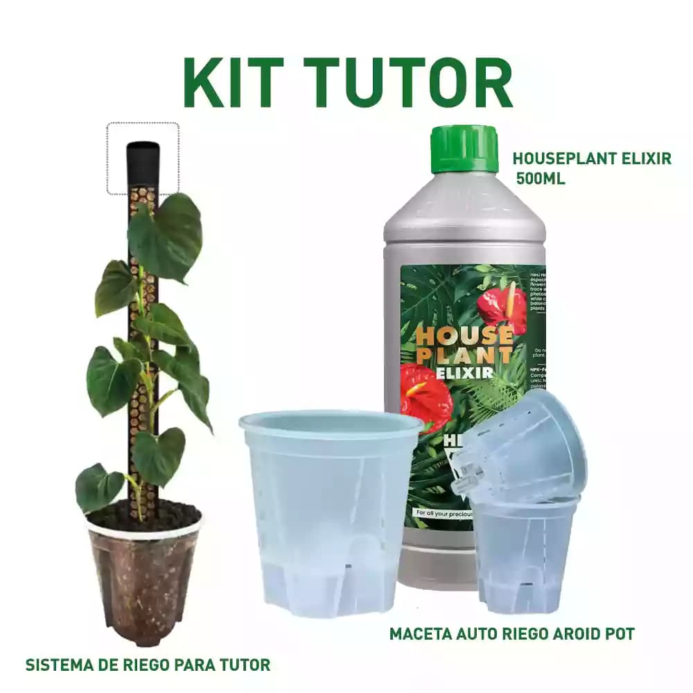 Kit Tutor