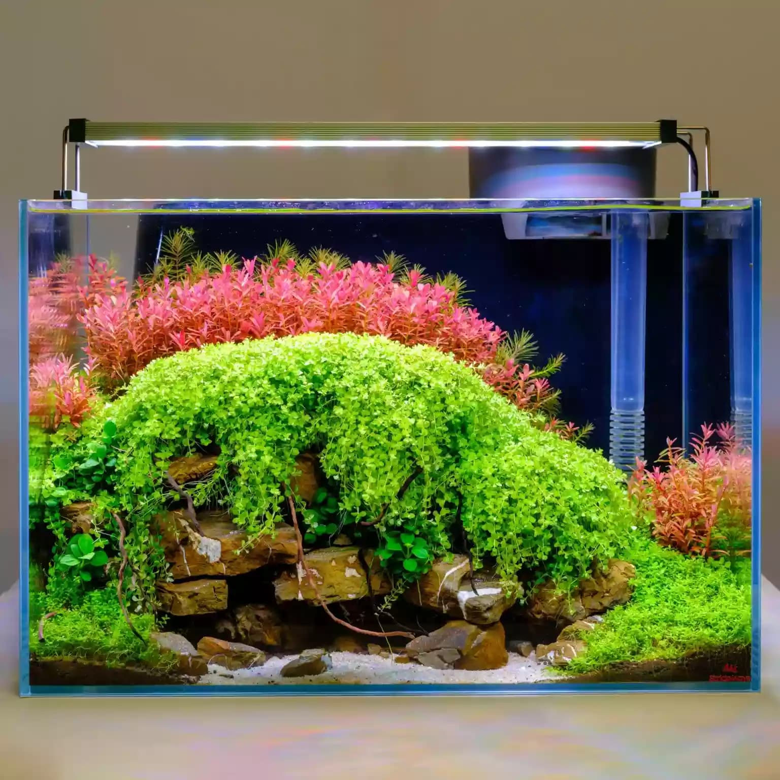 Twinstar Light 60B III 3