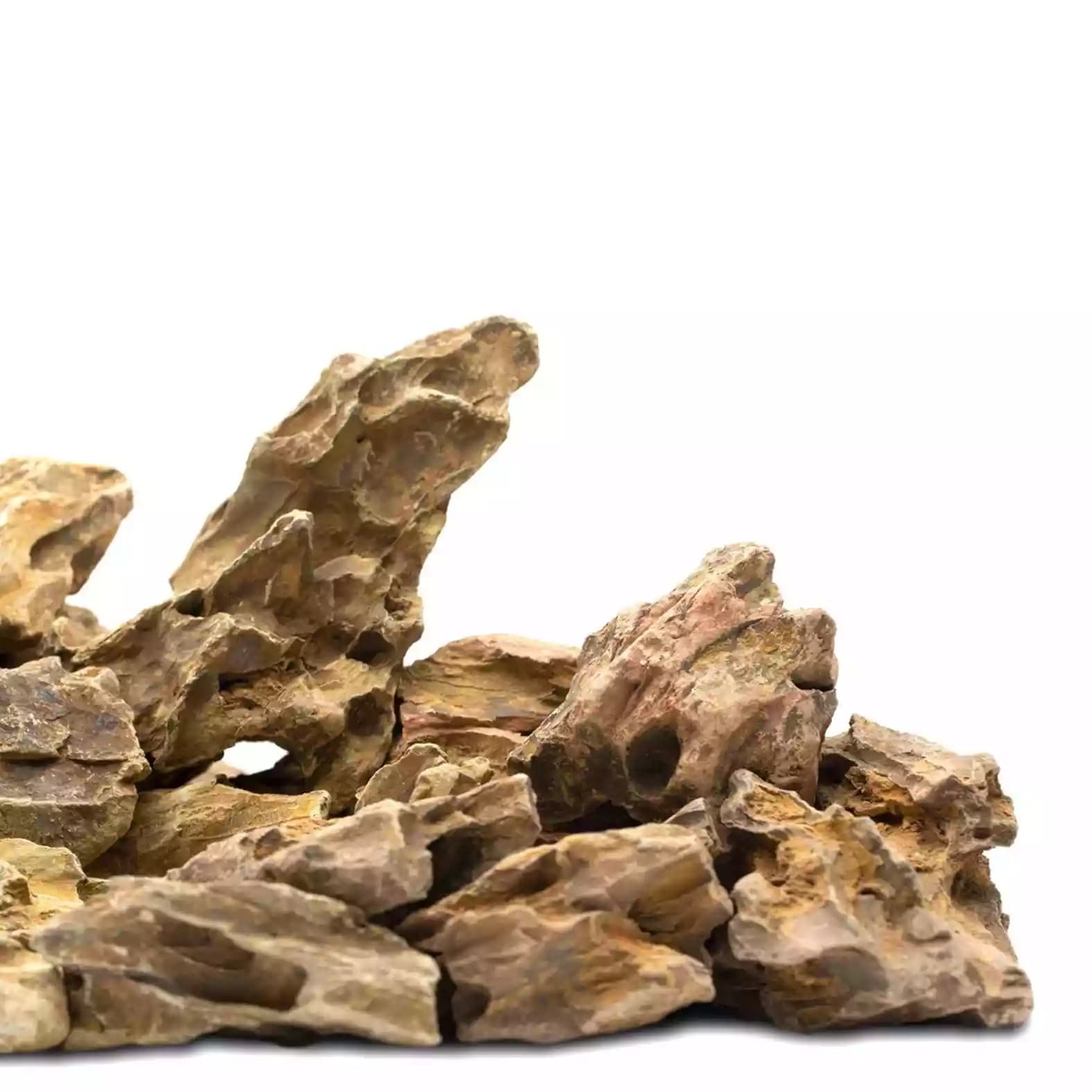 bidon-roca-dragon-lateral
