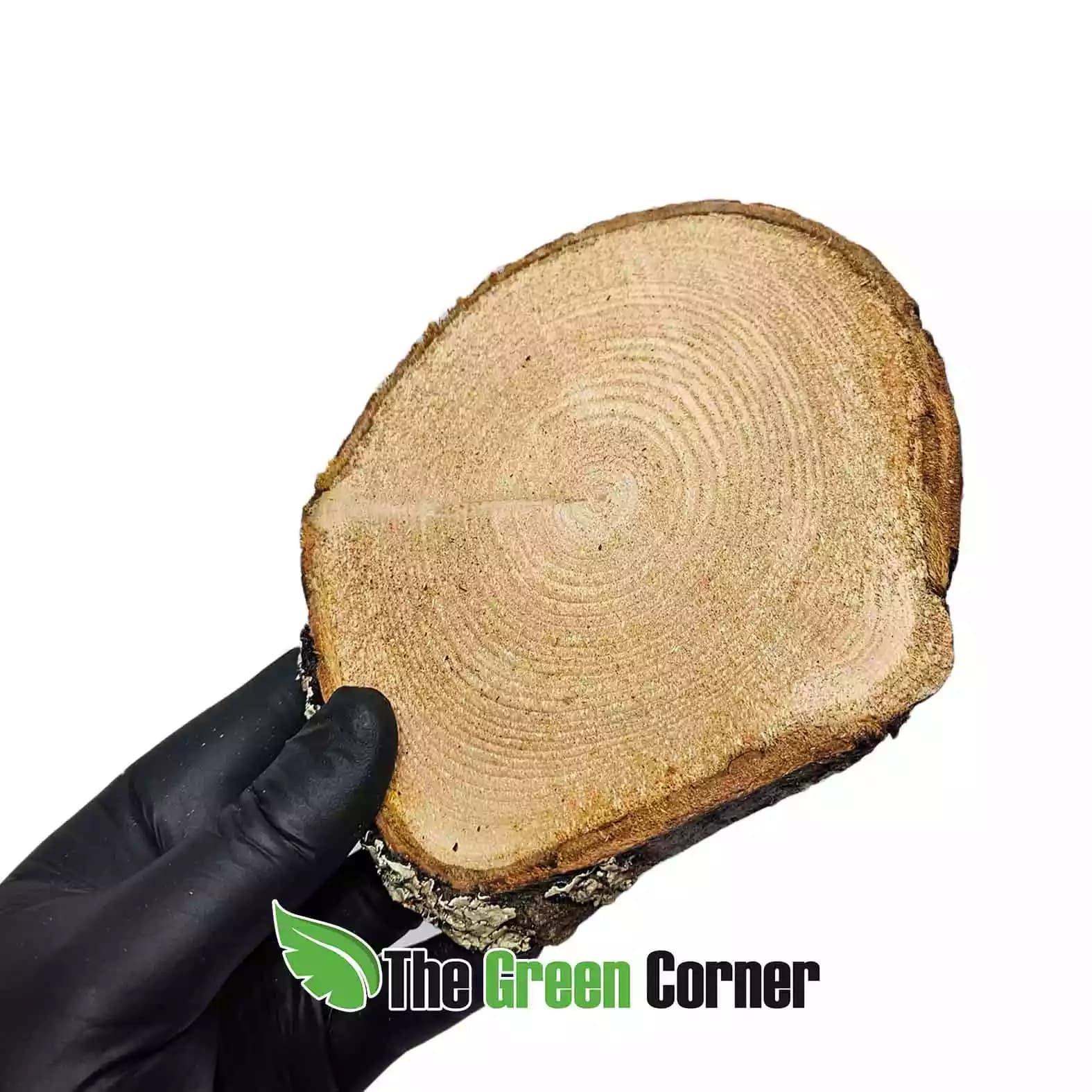 disco-de-madera-de-castano-13-15