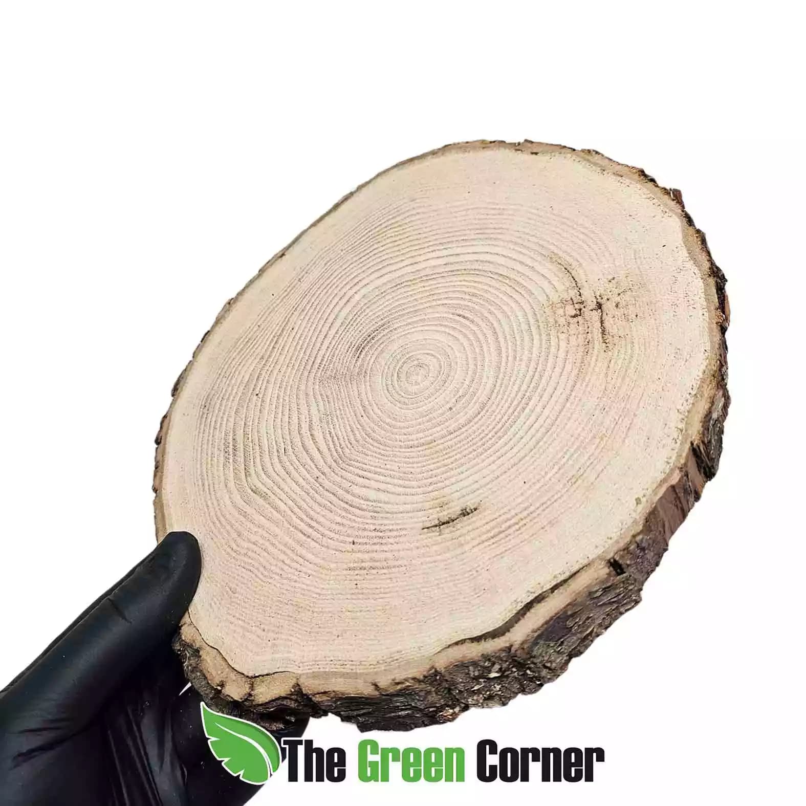 disco-de-madera-de-castano-19cm